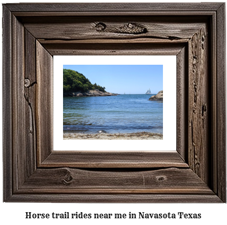 horse trail rides near me in Navasota, Texas